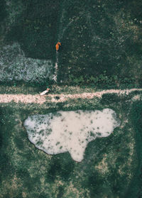 High angle view of snow on land