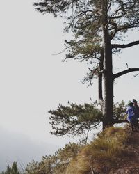 Rear view of man photographing tree against clear sky