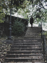 Rear view of man walking on steps