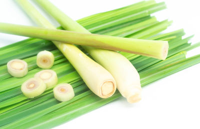 High angle view of vegetables on table