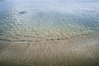 High angle view of surf on beach