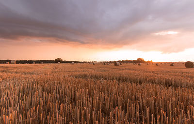 Scenic view of field against sky during sunset