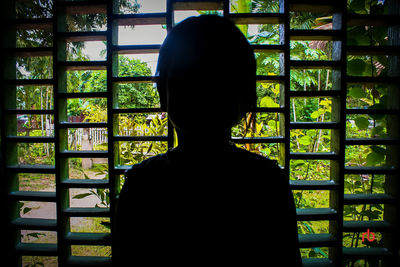 Rear view of silhouette man standing against window