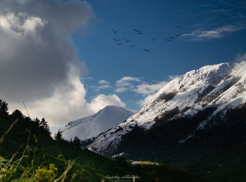 Low angle view of birds flying over mountains against sky