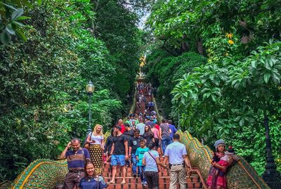 Group of people in the forest