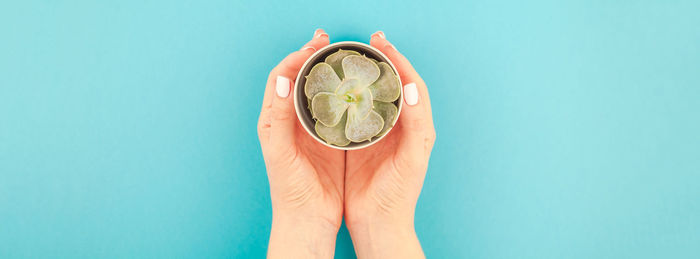Midsection of person holding fruit against blue background