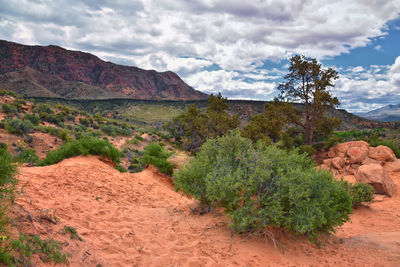 Scenic view of landscape against sky