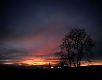 Silhouette of tree at sunset