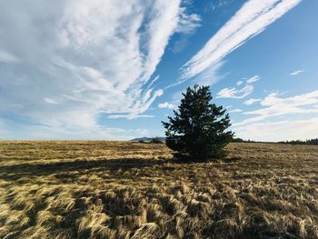 Scenic view of land against sky