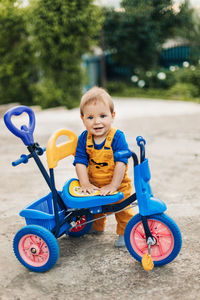 Portrait of cute boy riding toy car