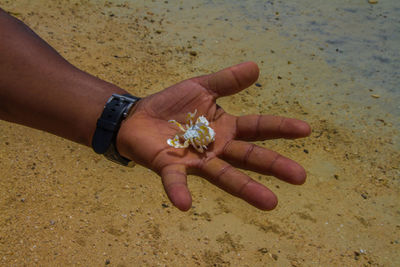 Midsection of woman holding hands on sand at beach