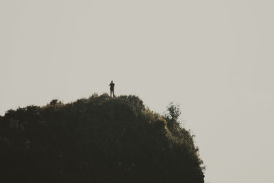 Low angle view of silhouette person standing by tree against clear sky