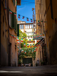 Potted plants on street amidst buildings in city