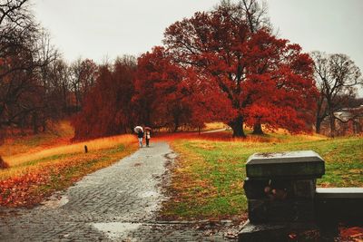 Man walking by trees against sky during autumn