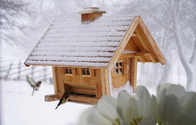 Close-up of birdhouse on snow covered house