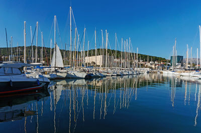 Sailboats moored at harbor