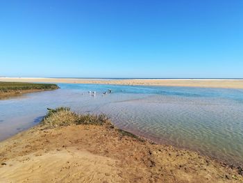 Scenic view of sea against clear blue sky