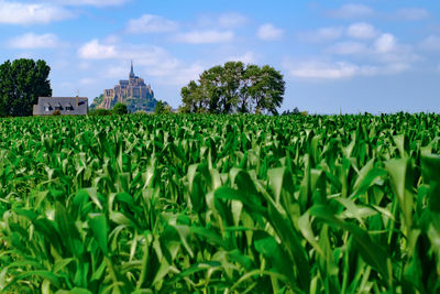 Scenic view of farm against sky