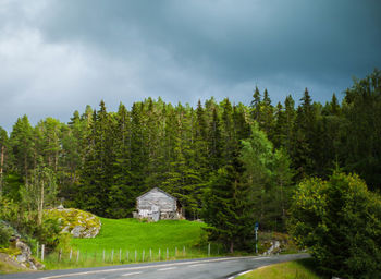 Road amidst trees in forest against sky