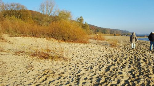 Scenic view of beach against clear sky