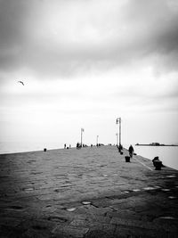 Birds flying over sea