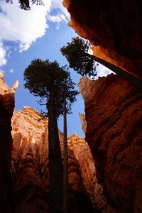 Low angle view of rock formation against sky