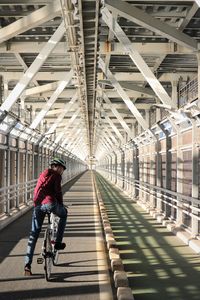 Man riding bicycle on bridge