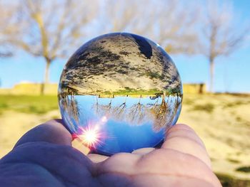 Close-up of hand holding crystal ball against trees