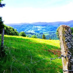 Scenic view of landscape against sky