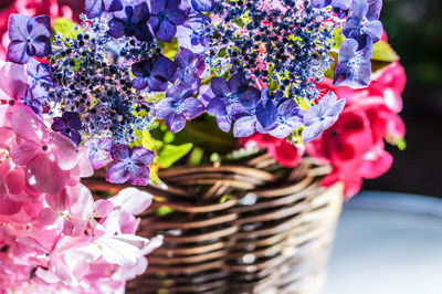 Close-up of purple flowers in basket