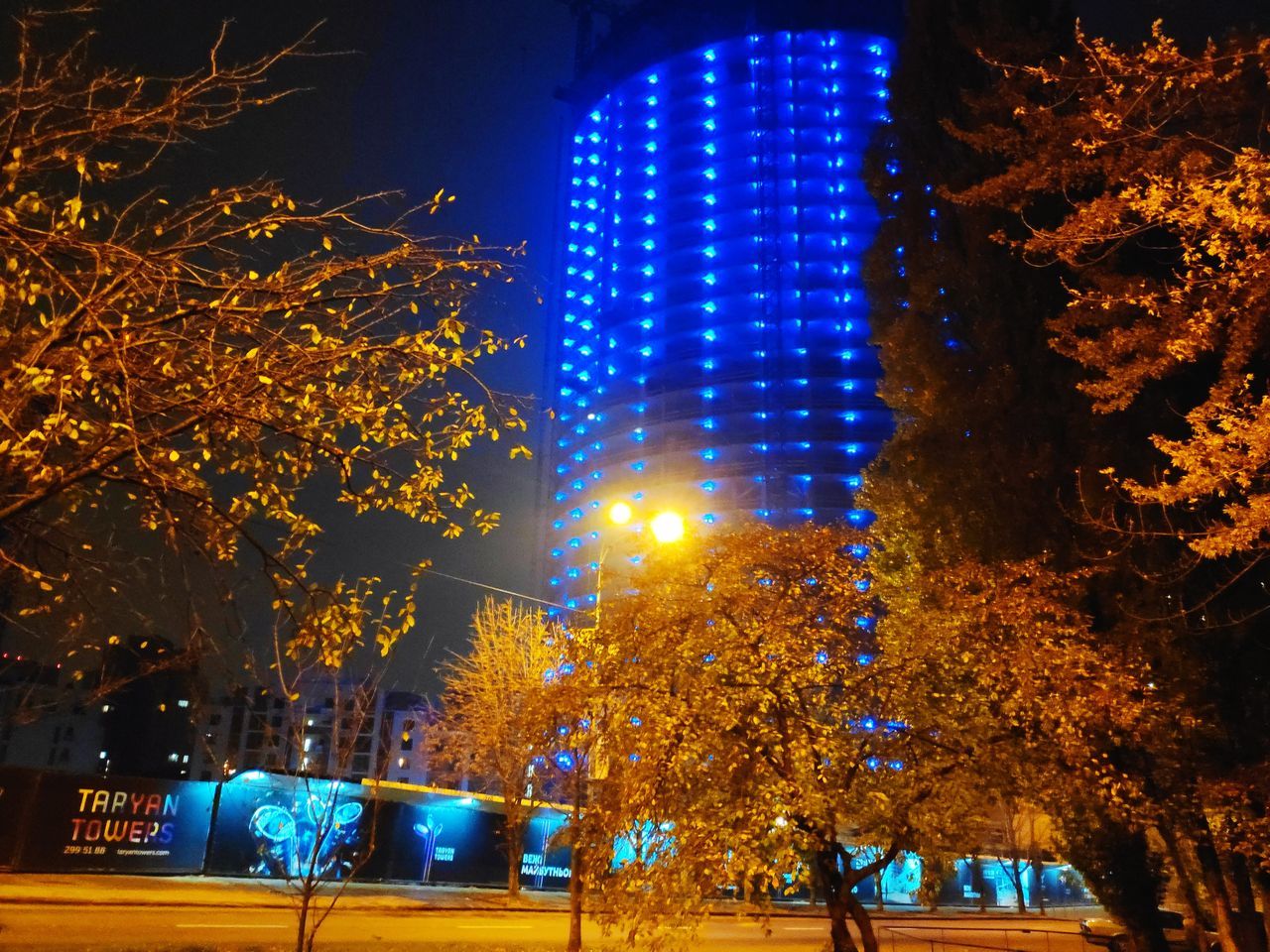 night, illuminated, tree, building exterior, architecture, city, plant, built structure, nature, no people, lighting equipment, building, office building exterior, street, low angle view, street light, transportation, outdoors, glowing, mode of transportation, skyscraper