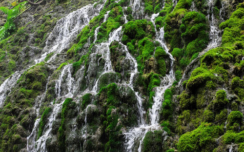 The waterfall is full of green moss and has clear water