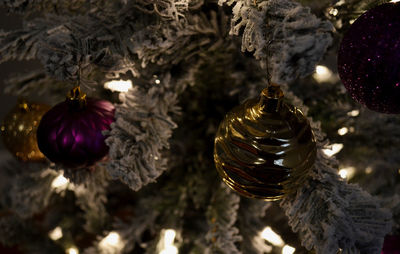 Close-up of decorations