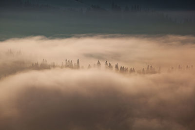 Scenic view of landscape against sky during sunrise