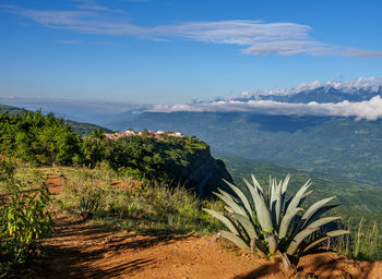 Scenic view of landscape against sky