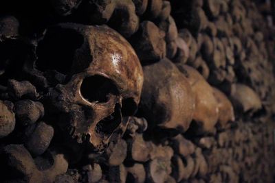 Close-up of human skull