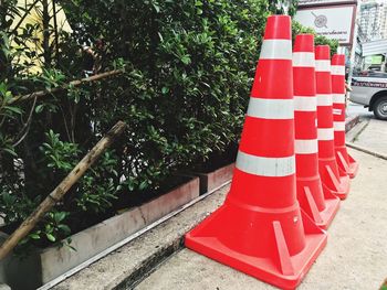 Red flag on road by trees in city