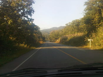 Road passing through forest