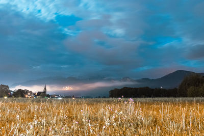 Scenic view of field against sky
