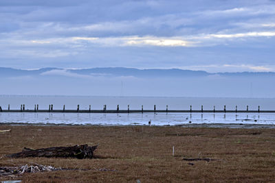 Scenic view of beach against sky