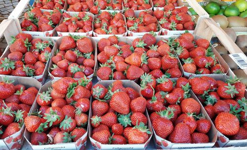 High angle view of fruits for sale at market stall