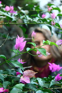 Close-up of pink flowers blooming outdoors
