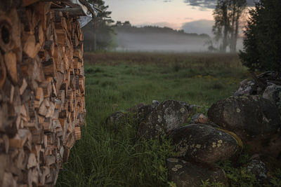 Stack of wood on field by trees against sky