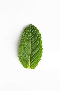 Close-up of green leaf against white background