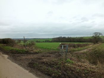 Scenic view of field against sky