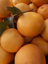 Close-up of oranges for sale in market