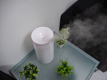 High angle view of potted plant on table