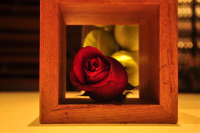 Close-up of red rose on wood