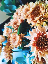 Close-up of flowering plant on table