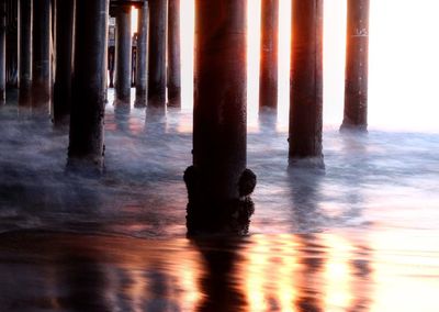 Reflection of trees in water